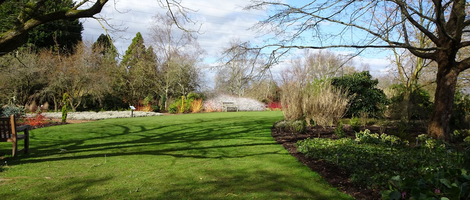 Sir Harold Hillier Gardens' Winter Garden